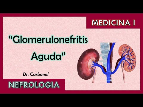 Vídeo: Glomerulonefritis Aguda En Niños Y Adultos: Formas, Tratamiento