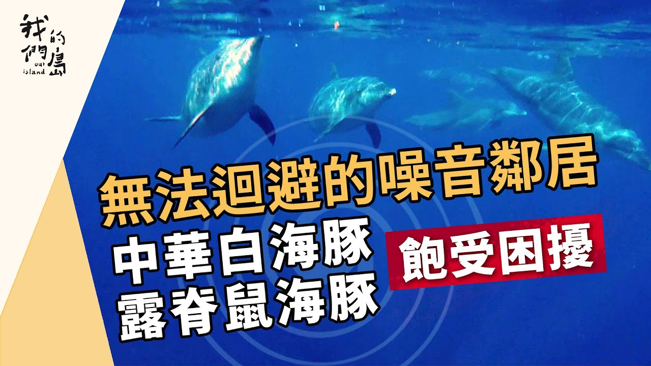 Re: [新聞] 川普：離岸風電是「鳥與鯨魚殺手」 矢言