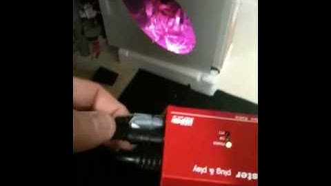 Rigblaster plug play