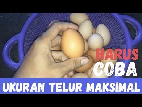 Video: Cara Menjadikan Aspik Telus