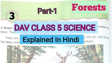 🌿 Forests DAV Class 5 Science Chapter 3 Forests Explained in Hindi Part-1||ADARSH 999
