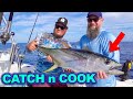 Catching Yellowfin Tuna {Catch and Cook}