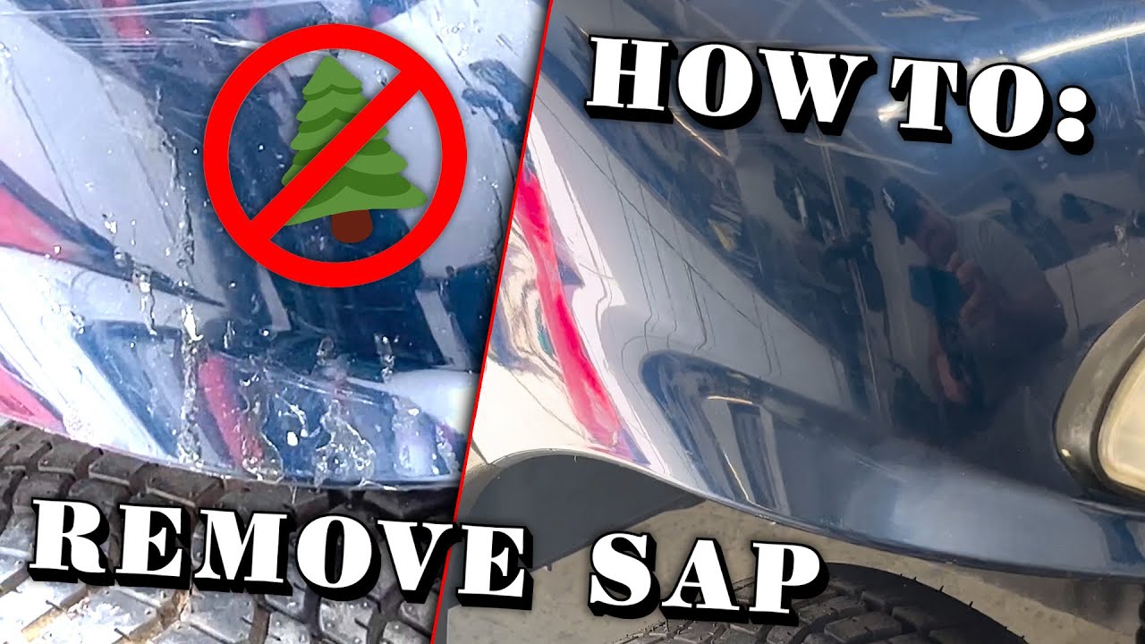 Tree Sap Removal - The Car Wash Method » Way Blog