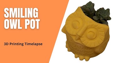 3D Printing Timelapse Ender 3 - Smiling Owl Pod