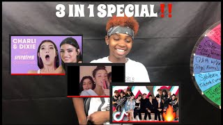 CHARLI \& DIXIE |3 IN 1 SPECIAL| REACTION