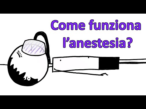 Come funziona l’anestesia?