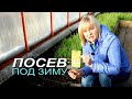 ПОСЕВ ПОД ЗИМУ в теплице! Что, как и когда можно посеять! Советы от ЗЕЛЕНОГО ОГОРОДА!