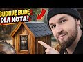 BUDUJĘ BUDĘ DLA BEZDOMNYCH KOTÓW