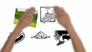 Grassland Carbon Sequestration (Network 1 - Ireland)