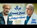 Ajal Moalagh برگ سبزیست تحفه درویش Ajal Moalagh برگ سبزیست تحفه درویش