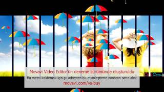 Rekor Kıran Internet Fenomeni