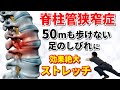 【脊柱管狭窄症 ストレッチ】脊柱管狭窄症を自分で治す!30秒ストレッチ!