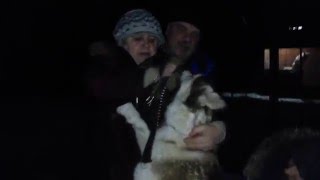 Радость потерянной собаки от встречи со своими хозяевами Радость потерянной собаки от встречи со своими хозяевами
