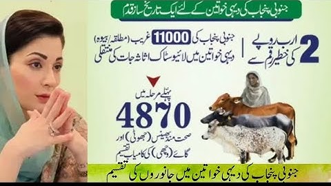  Empowering Women | Punjab Livestock Distribution Scheme for Widows and Divorced Women  
