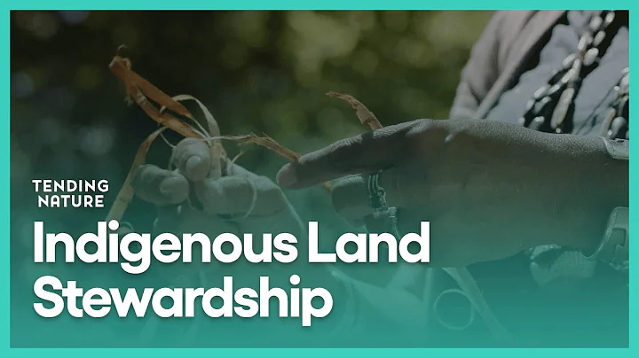 Indigenous Land Stewardship | Tending Nature | KCET