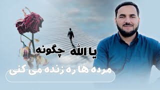 075 - تفسیر سوره البقره / از آیت 259 الی 261 / استاد عبدالصمد قاضی زاده