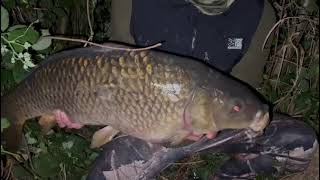 Carping.....