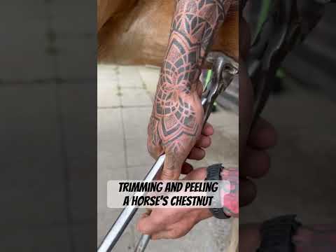 Trimming and peeling