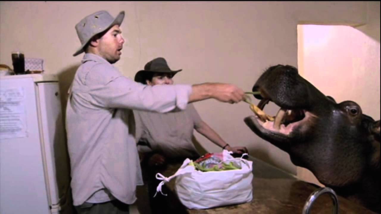 An idiot abroad - Hippo scene