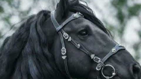 تلاوة هادئة تريح القلب ❤️بصوت الشيخ وليد فاضل العبيدي حفظه الله