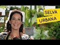 Como fazer uma urban jungle 🌿 | Jardinagem | Gabi Pileggi