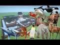 How to make an arctic animal farm in minecraft pe