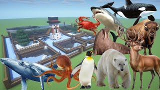 How To Make an Arctic Animal Farm in Minecraft PE