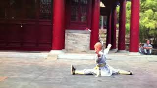 Shaolin Tongzigong 