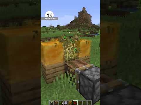 Video: Kako zaustaviti rast bambusa u Minecraftu?