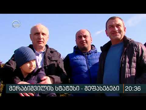 ვისთვის იყო ვანო მერაბიშვილი პოლიტპატიმარი და ვისთვის არა - შეფასებები