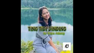 DJ TING TIDI DIDING DJ PAPA ADU🔊🔊VIRAL 2022
