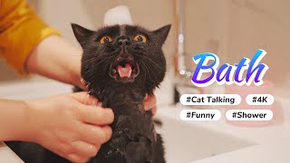 Cat Talking NonStop During Bath