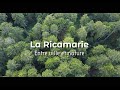 Ref:uBoK-CD3Ww8 Film  La Ricamarie, entre ville et nature