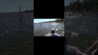 ЭТО ШОК!!!! ПРЫГНУЛ ЗА УДОЧКОЙ В КОРЯЖНИК!!! САЗАН УТОЩИЛ УДОЧКУ!!! #fishing #рыбалка #carpfishing