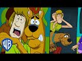 Scooby-Doo! | Scooby & Shaggy's SCAREDY CAT Moments! 🙀 | WB Kids