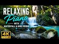 Beautiful Relaxation Music 🌿 Soothing Music to Calm the Nervous System,  Studying  and for Sleeping
