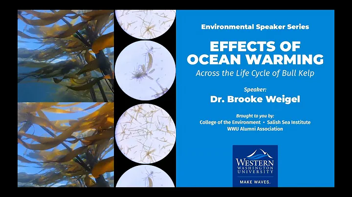 Effects of Ocean Warming Across the Life Cycle of Bull Kelp