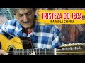 TRISTEZA DO JECA - Instrumental na viola caipira por GOIANITO