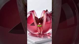 The Rumor That Came Back