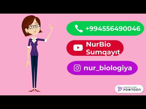 NurBio Sumqayıt - Canlılarda qidalanma