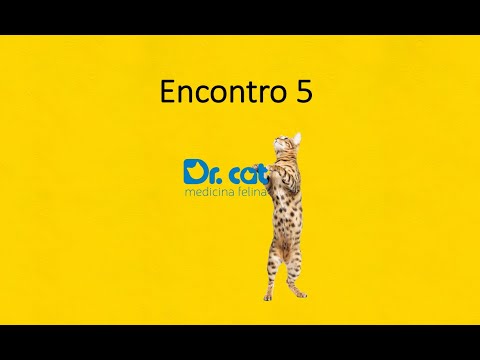 Vídeo: Pesquisa diz que os pais do animal de estimação celebram seus animais de estimação mais do que nunca