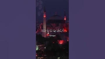 الشيخ/ نواف بن ناجي الشلوي - ماتيسر من سورة النبأ (١)