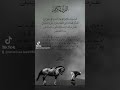 Daily islamic quotes  quranic verses  islamic inspiration