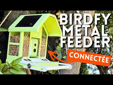 5 mois d'observation des oiseaux du jardin avec la mangeoire connectée autonome Birdfy Metal Feeder