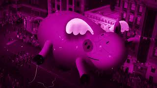 When Pink Fly Incorporated Logo Package September 21, 2014-May 15, 2018