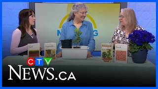 Spring Gardening Tips