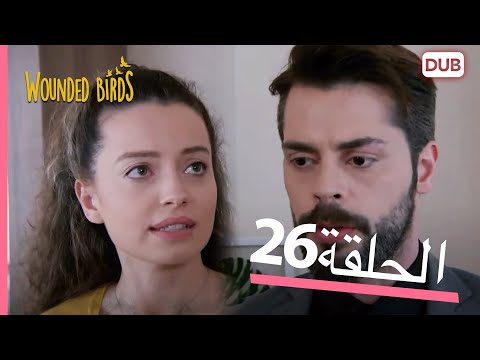 الطيور الجريحة الحلقة الكاملة 26 مدبلج عربي
