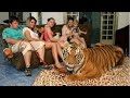 CETTE FAMILLE VIT AVEC UN TIGRE À LA MAISON !