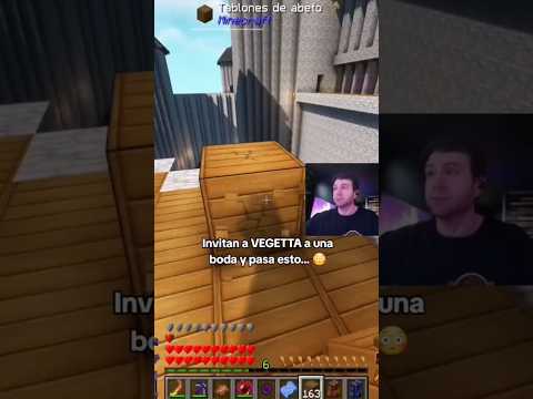 A Vegetta le
