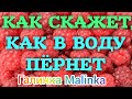 Колесниковы /Как скажет, как в воду пернет /Обзор Влогов /